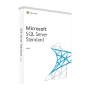 SQL Server Standard 2019 - Presentación del producto
