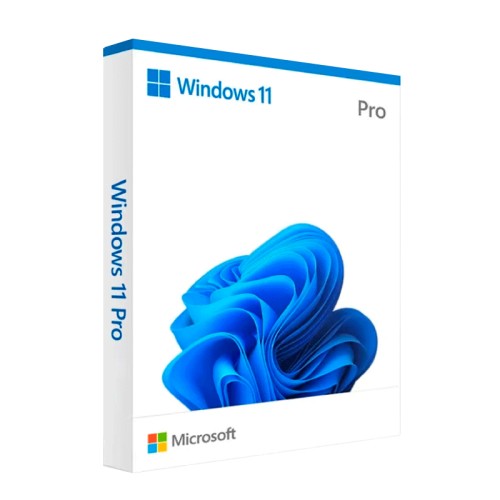 Windows 11 Pro Box