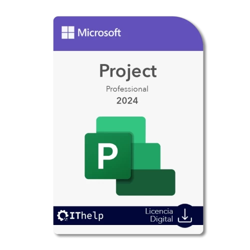 Microsoft Project 2024 Professional - 1 PC